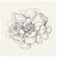 Pen and Ink Florals IV -Paper Art-42"x42"