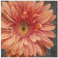Vivid Floral II Crop -Paper Art-26"x26"