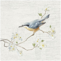 Nuthatch Vintage -Paper Art-26"x26"