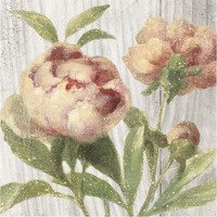 Scented Cottage Florals I Crop -Paper Art-38"x38"