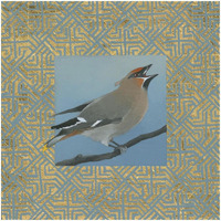 Cedar Waxwing Border -Paper Art-32"x32"