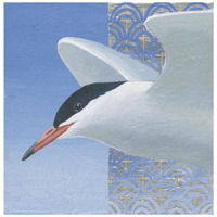 Common Tern II -Paper Art-20"x20"