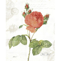 June Rose on White -Paper Art-30"x37"