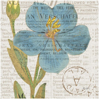 Bookshelf Botanical VI -Paper Art-32"x32"