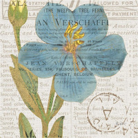 Bookshelf Botanical VI -Paper Art-38"x38"