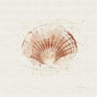 Shell Collector IV -Paper Art-38"x38"
