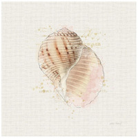 Shell Collector V -Paper Art-20"x20"