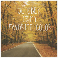 October Color II -Paper Art-26"x26"