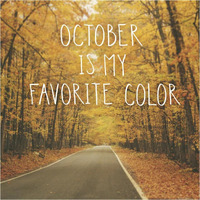 October Color II -Paper Art-38"x38"
