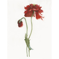 Red Somniferum -Paper Art-20"x26"