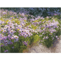 Buckhorn Aster Show Crop -Paper Art-18"x14"