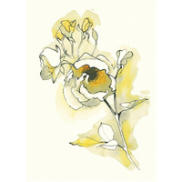 Carols Roses IV -Paper Art-26"x34"
