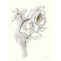 Carols Roses III Soft Gray -Paper Art-18"x22"