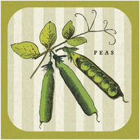 Linen Vegetable IV -Paper Art-32"x32"