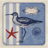 Sea Bird II -Paper Art-32"x32"