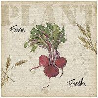 Farmers Feast IV -Paper Art-20"x20"
