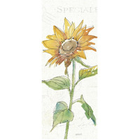 Tuscan Elegance VI -Paper Art-32"x77"
