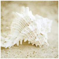 Golden Seashore Shells -Paper Art-26"x26"