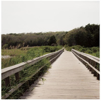 Beach Boardwalk -Paper Art-26"x26"