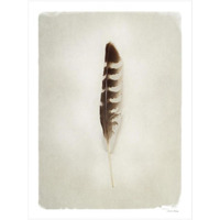 Feather IV -Paper Art-32"x42"