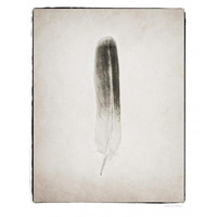 Feather II - BW -Paper Art-22"x26"