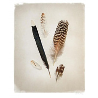Feather Group II -Paper Art-30"x37"