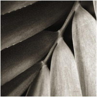Tropical Plant II -Paper Art-32"x32"