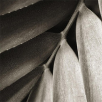 Tropical Plant II -Paper Art-38"x38"