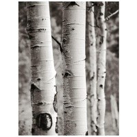 Aspens I -Paper Art-32"x42"
