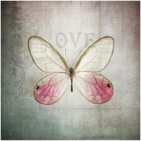 French Butterfly I -Paper Art-32"x32"