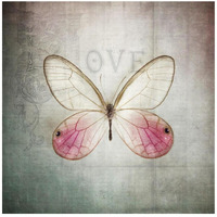 French Butterfly I -Paper Art-42"x42"