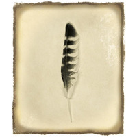 Feather IV Vintage -Paper Art-27.2"x32"