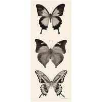 Butterfly - BW Panel I -Paper Art-26"x62"