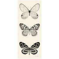 Butterfly - BW Panel II -Paper Art-14"x32"