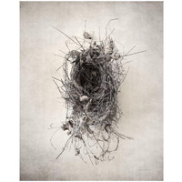 Nest II -Paper Art-18"x22"