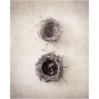 Nest IV -Paper Art-24"x30"