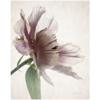 Translucent Peony II -Paper Art-18"x22"