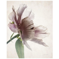 Translucent Peony II -Paper Art-22"x26"