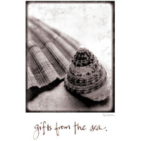 Gifts from the Sea -Paper Art-30"x37"