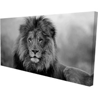 Black And White Lion - Print on canvas by Begin Edition