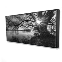 Black & White Lake - Framed Print on canvas by Begin Edition