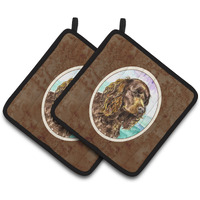 "Caroline's Treasures American Water Spaniel Pair of Pot Holders 7008PTHD, 7.5HX7.5W, Multicolor"
