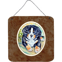 "Caroline's Treasures Bernese Mountain Dog Puppy Wall or Door Hanging Prints 7010DS66, 6"" x 6"", Multicolor"