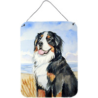 "Caroline's Treasures 7012DS1216 Bernese Mountain Dog Aluminium Metal Wall or Door Hanging Prints, 16"" x 12"", Multicolor"