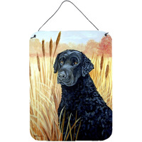 "Caroline's Treasures 7097DS1216 Curly Coated Retriever Aluminium Metal Wall or Door Hanging Prints, 16"" x 12"", Multicolor"