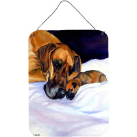 "Caroline's Treasures Fawn Natural Great Dane and Puppy Aluminium Metal Wall or Door Hanging Prints, 16"" x 12"", Multicolor"