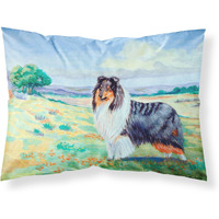 "Caroline's Treasures 7140PILLOWCASE Collie Moisture Wicking Fabric Standard Pillowcase, Large, Multicolor"