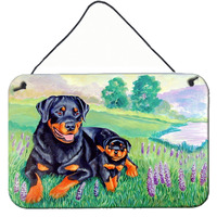 "Caroline's Treasures Rottweiler Aluminum Metal Wall or Door Hanging Prints, 8 x 12"""