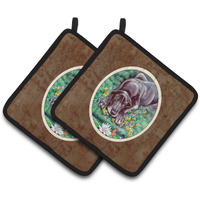 "Caroline's Treasures Blue Great Dane Pair of Pot Holders 7235PTHD, 7.5HX7.5W, Multicolor"