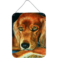 "Caroline's Treasures 7315DS1216 Irish Setter Serious Wall or Door Hanging Prints, 16 x 12"", Multicolor"